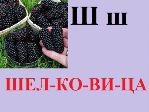 картинка с буквой "Ш"