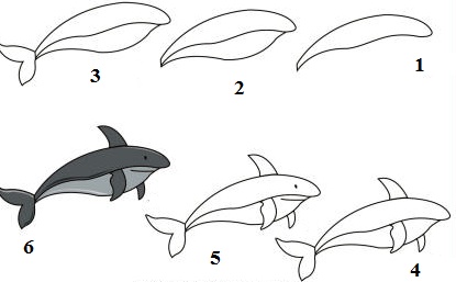 акулу рисуем поэтапно по картинке